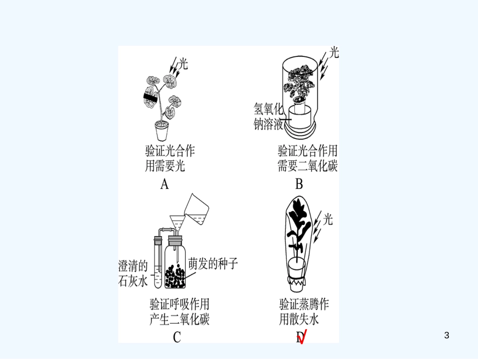 （济宁专版）2019年中考生物 专题二复习优质课件_第3页