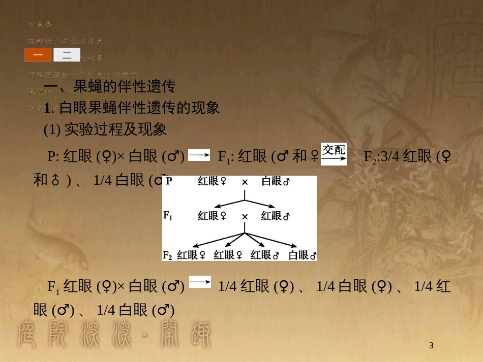 高中生物 第4章 遗传信息的传递规律 4.3 伴性遗传优质课件 北师大版必修2_第3页