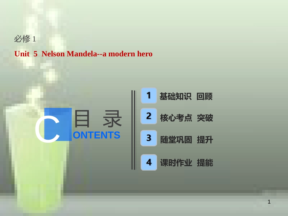 高考英语一轮复习 Unit 5 Nelson Mandela-a modern hero优质课件 新人教版必修1_第1页