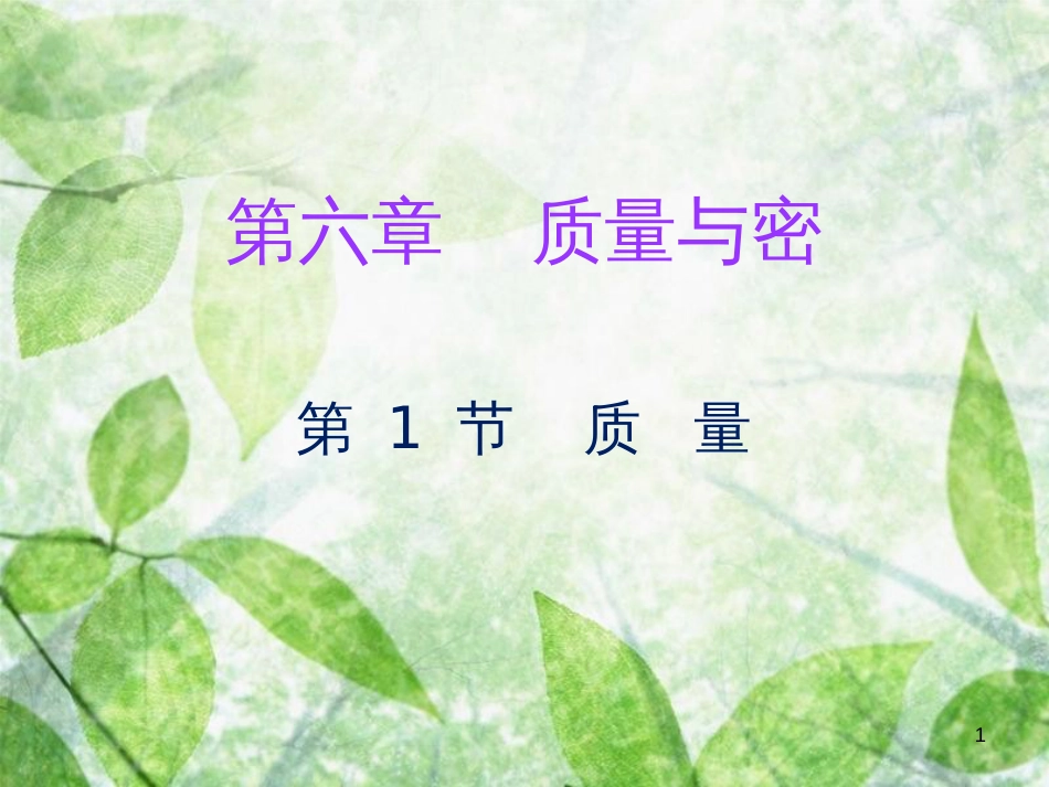 八年级物理上册 第六章 第1节 质量习题优质课件 （新版）新人教版_第1页