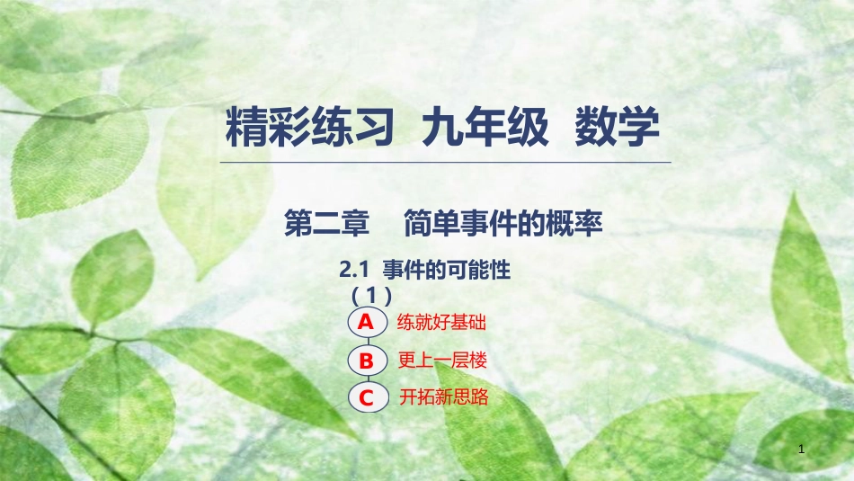 九年级数学上册 第二章 简单事件的概率 2.1 事件的可能性（1）优质课件 （新版）浙教版_第1页