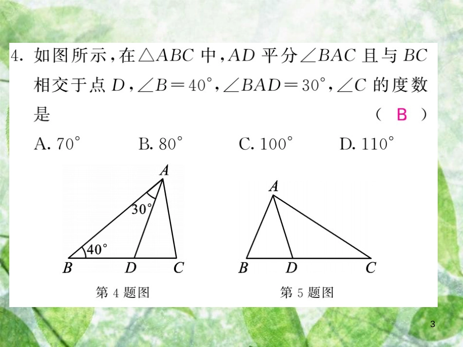 八年级数学上册 双休作业（四）习题优质课件 （新版）沪科版_第3页
