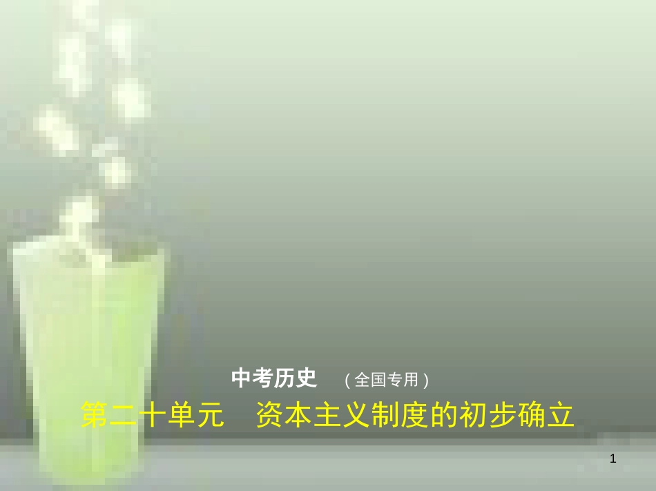 （全国通用）2019年中考历史一轮复习 第二十单元 资本主义制度的初步确立（试卷部分）优质课件_第1页