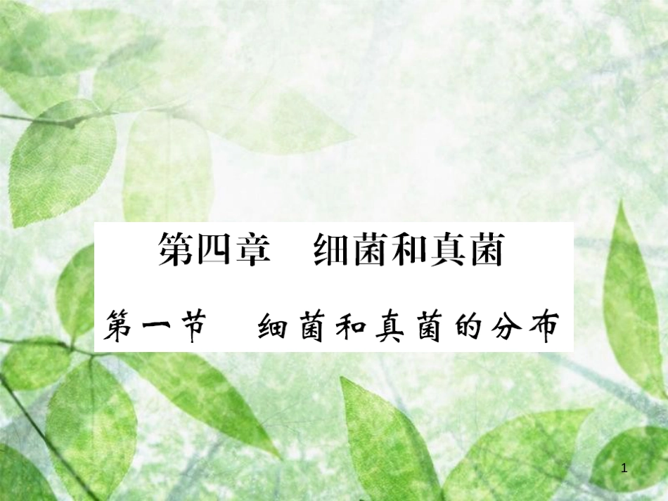 八年级生物上册 第五单元 第4章 第1节 细菌和真菌的分布习题优质课件 （新版）新人教版_第1页
