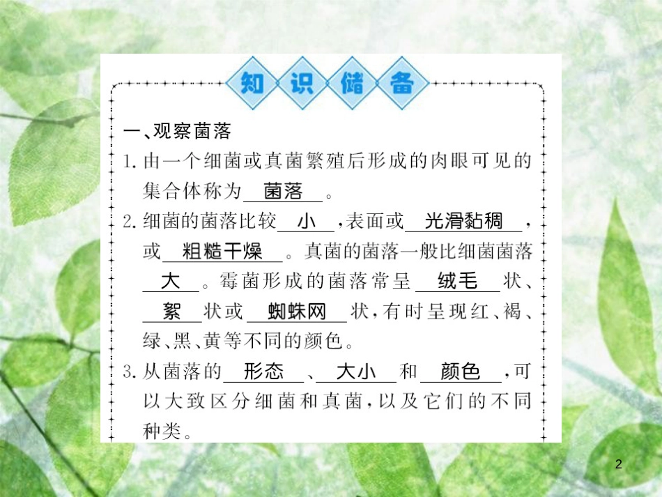 八年级生物上册 第五单元 第4章 第1节 细菌和真菌的分布习题优质课件 （新版）新人教版_第2页