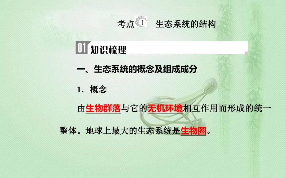 高中生物学业水平复习 专题十六 生态系统及生态环境的保护 考点1 生态系统的结构优质课件_第3页