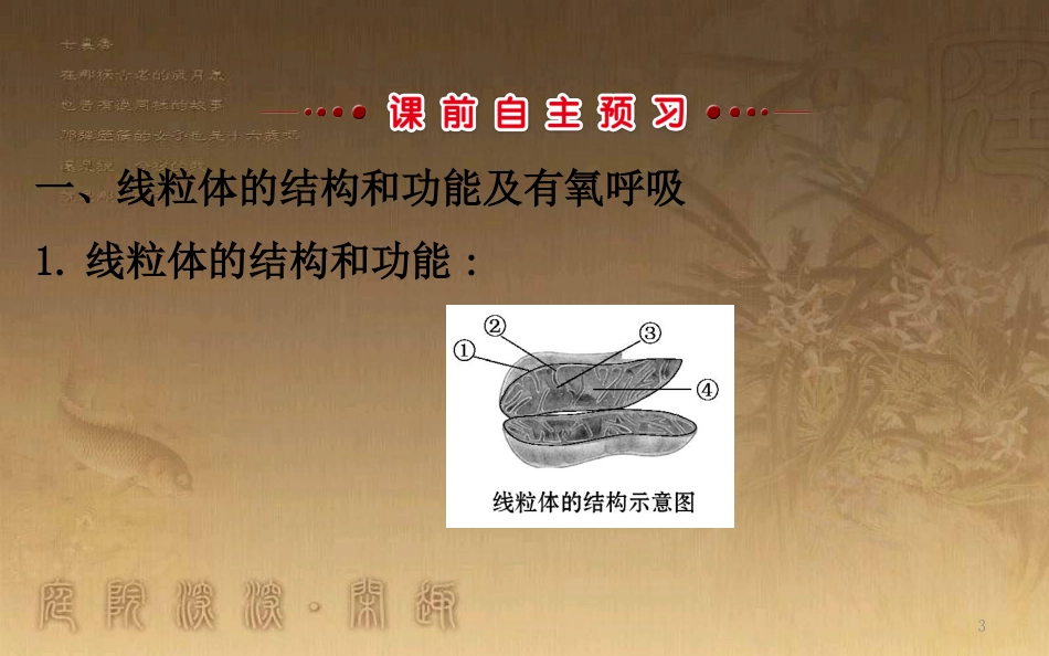 高中生物 第五章 细胞的能量供应和利用 第三节 ATP的主要来源—细胞呼吸 5.3.2优质课件 新人教版必修1_第3页