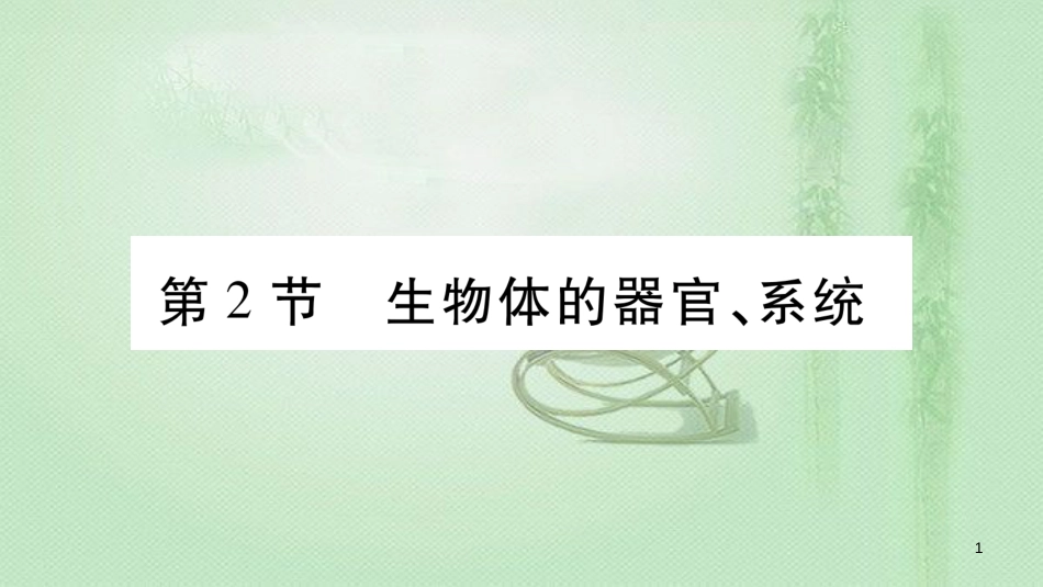 七年级生物上册 第二单元 第4章 第2节 生物体的器官、系统习题优质课件 （新版）北师大版 (2)_第1页