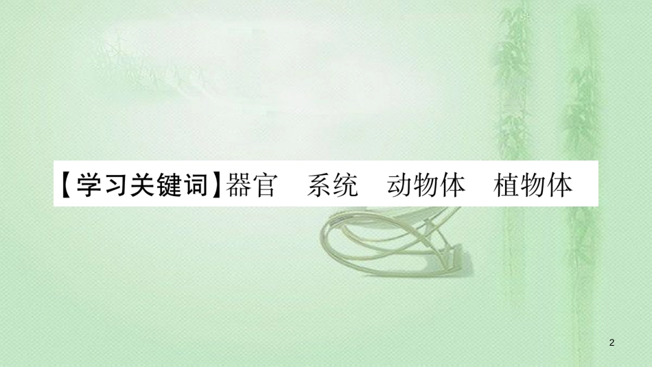 七年级生物上册 第二单元 第4章 第2节 生物体的器官、系统习题优质课件 （新版）北师大版 (2)_第2页