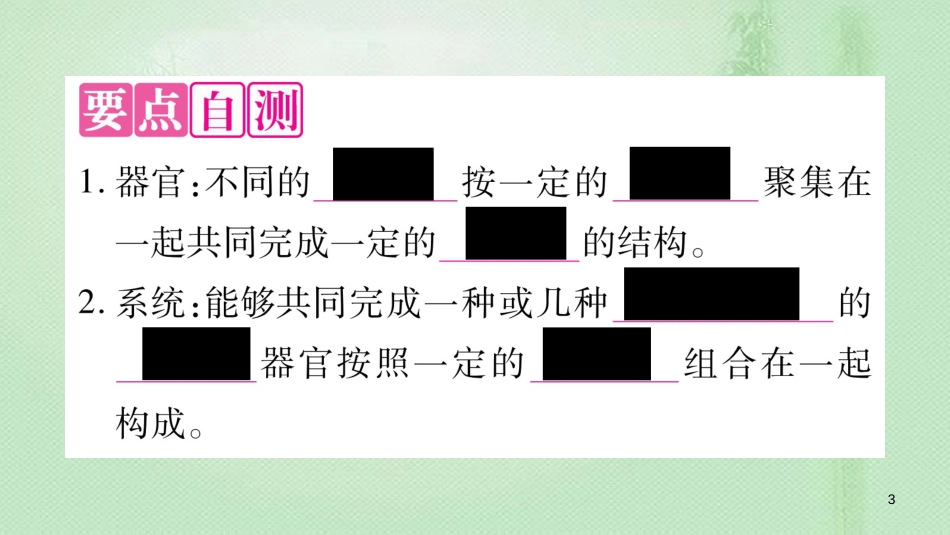七年级生物上册 第二单元 第4章 第2节 生物体的器官、系统习题优质课件 （新版）北师大版 (2)_第3页