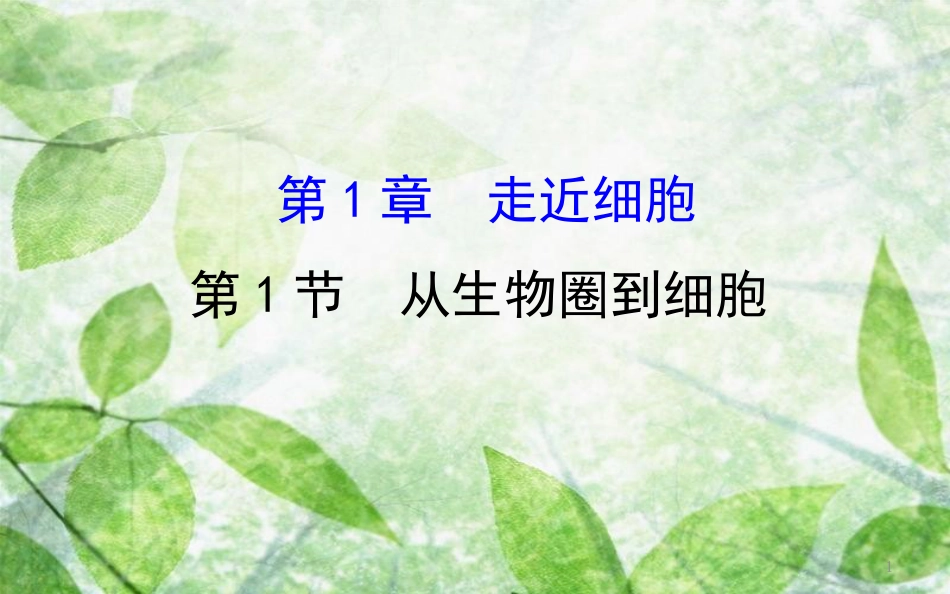 高中生物 第一章 走近细胞 1.1 从生物圈到细胞探究导学课型优质课件 新人教版必修1_第1页