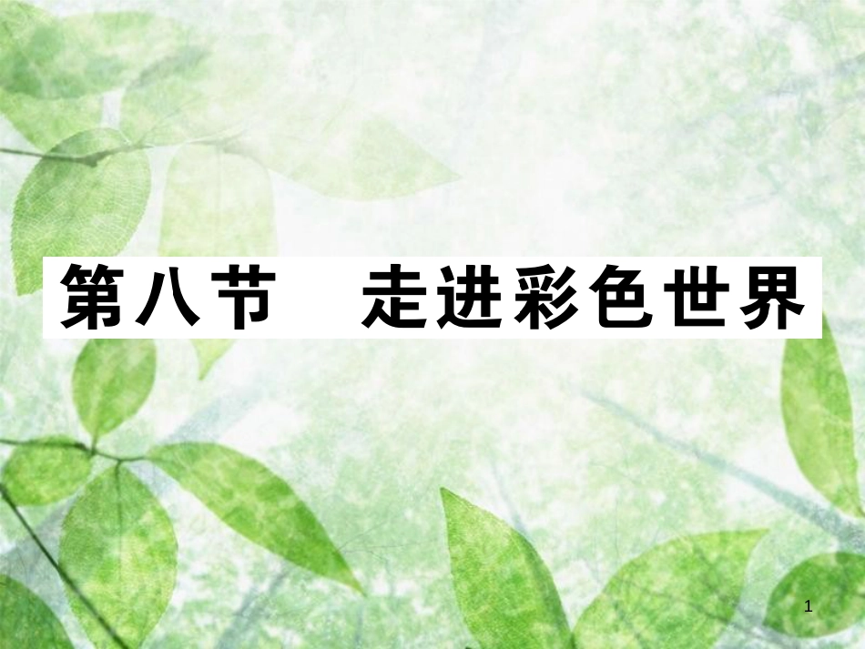 八年级物理上册 第四章 第8节 走进彩色世界习题优质课件 （新版）教科版_第1页