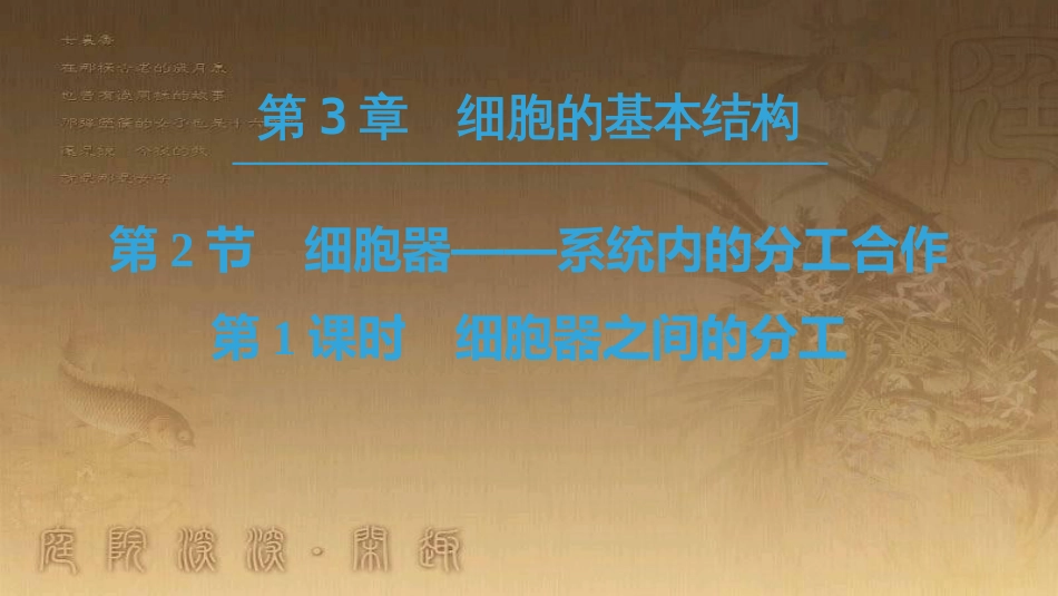 高中生物 第三章 细胞的基本结构 第2节 第1课时 细胞器之间的分工优质课件 新人教版必修1_第1页