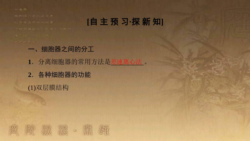 高中生物 第三章 细胞的基本结构 第2节 第1课时 细胞器之间的分工优质课件 新人教版必修1_第3页