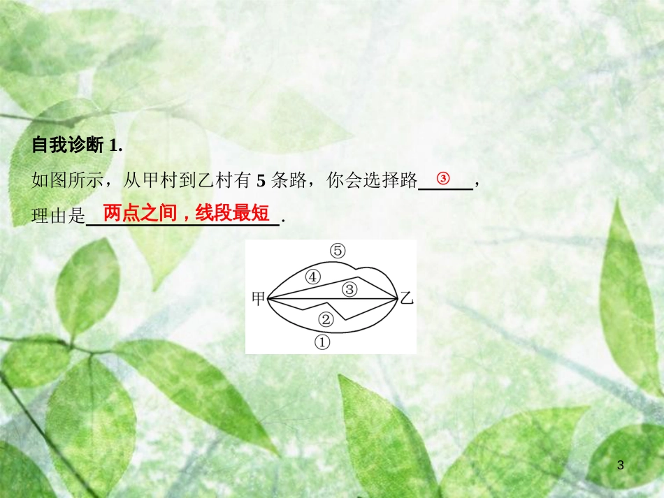 七年级数学上册 第4章 图形的初步认识 4.5.1 点和线优质课件 （新版）华东师大版_第3页