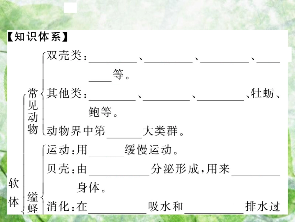 八年级生物上册 第五单元 第一章 第三节 软体动物和节肢动物（第1课时 软体动物）习题优质课件 （新版）新人教版_第2页