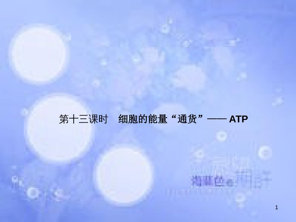 高考生物一轮总复习 第五章 细胞的能量供应和利用 5.2 细胞的能量“通货”—ATP课件 新人教版必修1_第1页