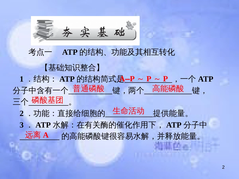 高考生物一轮总复习 第五章 细胞的能量供应和利用 5.2 细胞的能量“通货”—ATP课件 新人教版必修1_第2页
