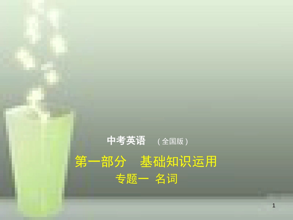 （全国通用）2019年中考英语复习 专题一 名词（试卷部分）优质课件_第1页