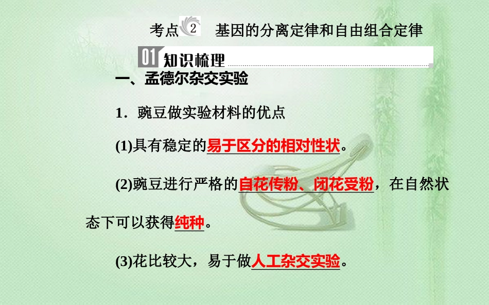高中生物学业水平复习 专题八 遗传的基本规律 考点2 基因的分离定律和自由组合定律优质课件_第1页