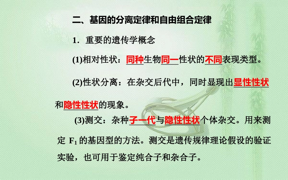 高中生物学业水平复习 专题八 遗传的基本规律 考点2 基因的分离定律和自由组合定律优质课件_第3页