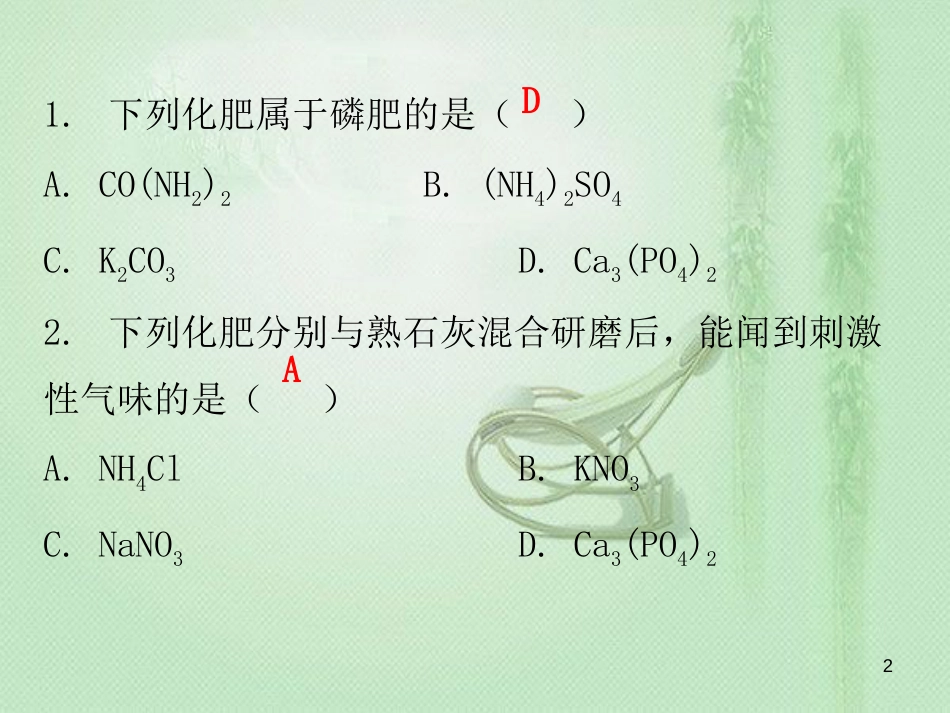 九年级化学下册 期末复习精炼 第十一单元 盐 化肥 专题四 化学肥料优质课件 （新版）新人教版_第2页