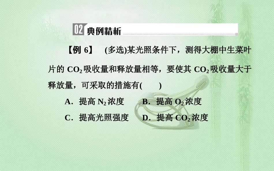 高中生物学业水平复习 专题三 细胞代谢 考点6 影响光合作用速率的环境因素优质课件_第3页