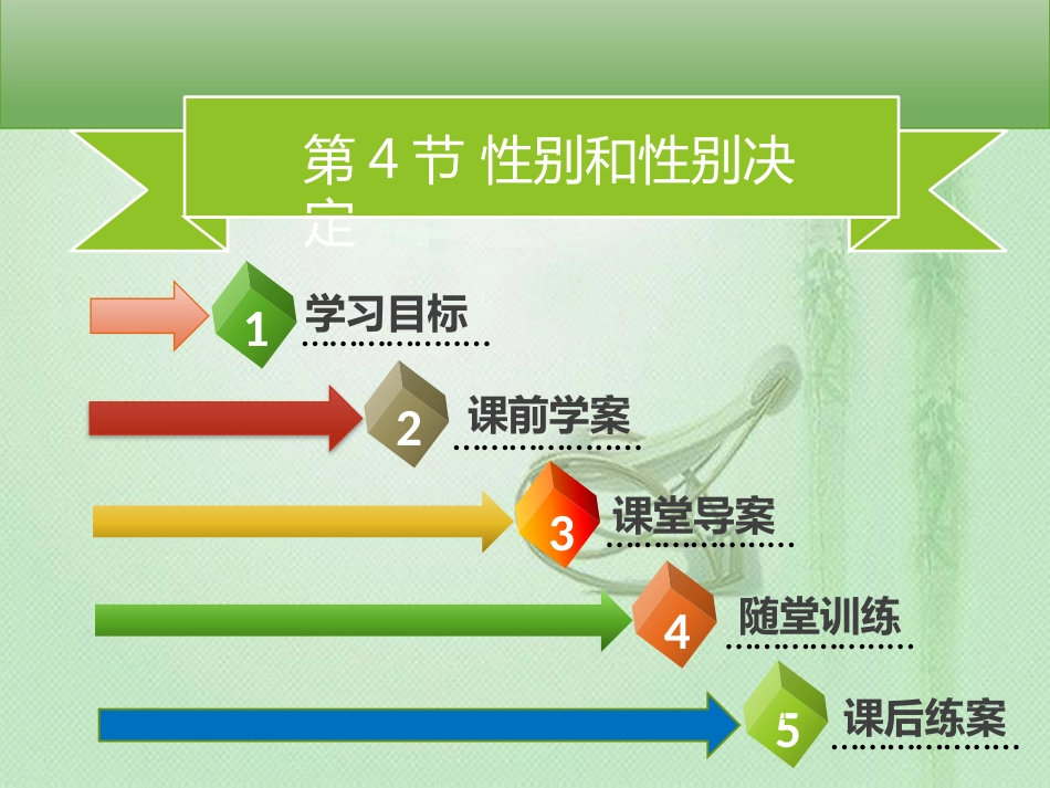 八年级生物上册 第六单元 第20章 第4节 性别和性别决定习题优质课件 （新版）北师大版_第1页