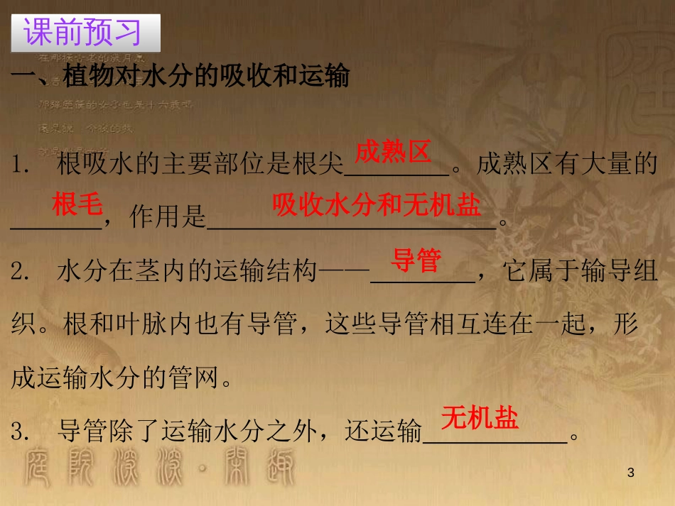 七年级生物上册 第三单元 第三章 绿色植物与生物圈的水循环优质课件 （新版）新人教版_第3页