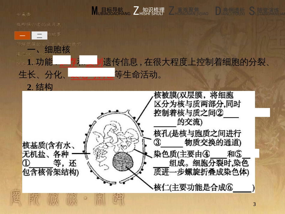 高中生物 第3章 细胞的结构 3.3 细胞核 3.4 细胞的生物膜系统与细胞骨架优质课件 北师大版必修1_第3页