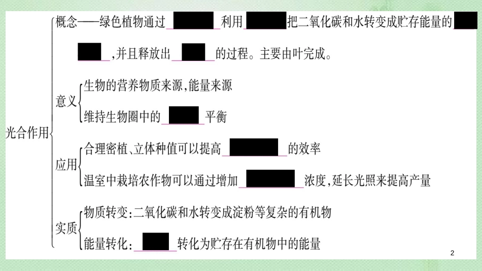 七年级生物上册 第3单元 第5章 绿色开花植物的生活方式知识归纳习题优质课件 （新版）北师大版_第2页