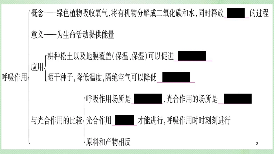 七年级生物上册 第3单元 第5章 绿色开花植物的生活方式知识归纳习题优质课件 （新版）北师大版_第3页