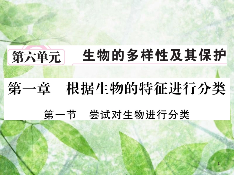 八年级生物上册 第六单元 第一章 第一节 尝试对生物进行分类习题优质课件 （新版）新人教版_第1页