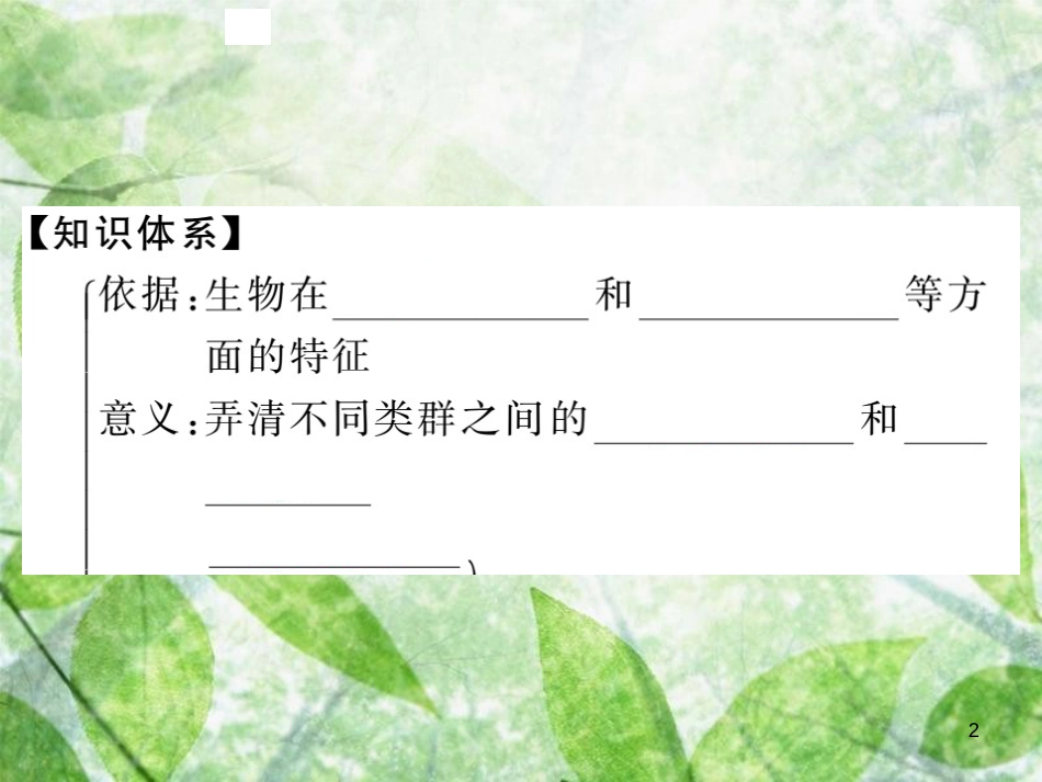 八年级生物上册 第六单元 第一章 第一节 尝试对生物进行分类习题优质课件 （新版）新人教版_第2页
