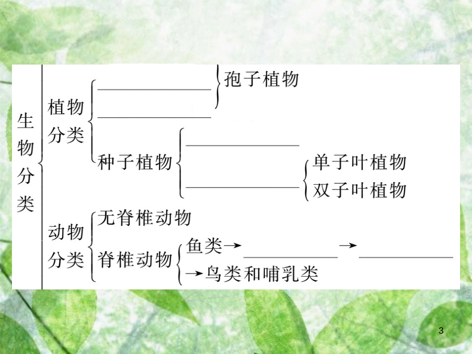 八年级生物上册 第六单元 第一章 第一节 尝试对生物进行分类习题优质课件 （新版）新人教版_第3页