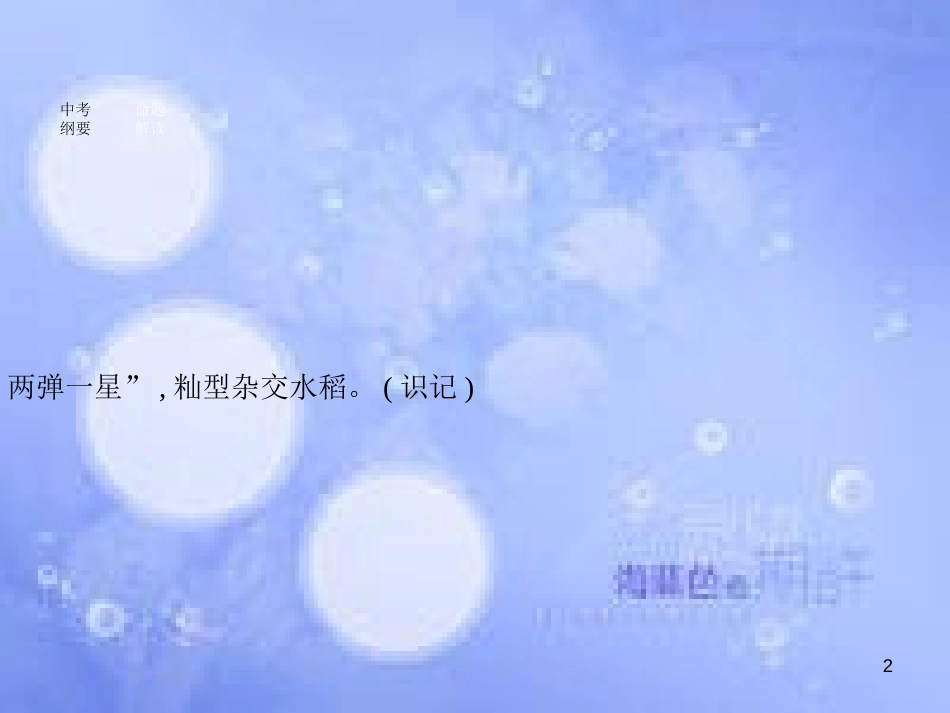 安徽省2017年中考历史 第一部分 教材知识梳理 模块三 中国现代史 主题五 中国现代科技、教育、文化与社会生活复习课件_第2页
