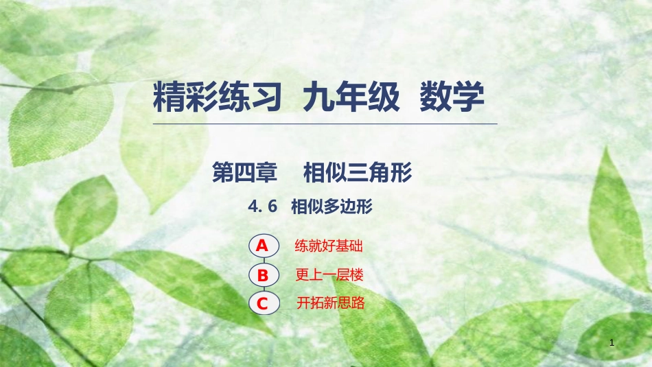 九年级数学上册 第四章 相似三角形 4.6 相似多边形优质课件 （新版）浙教版_第1页