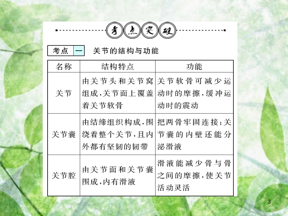 八年级生物上册 第五单元 第2-3章自主复习习题优质课件 （新版）新人教版_第3页