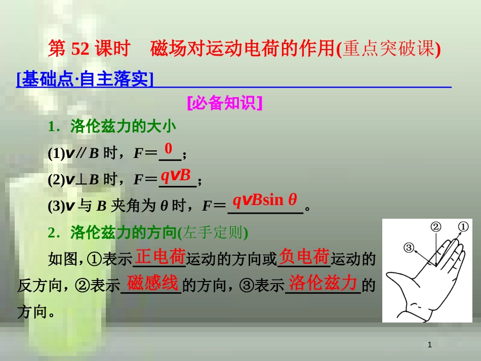 （新课标）高考物理总复习 第九章 磁场 第52课时 磁场对运动电荷的作用（重点突破课）优质课件_第1页