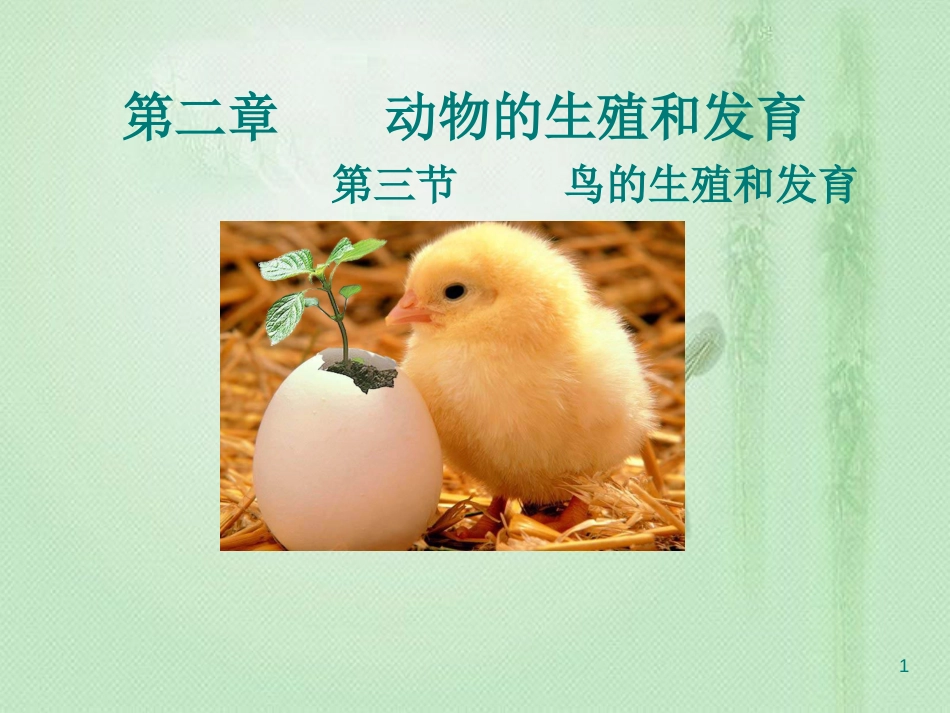 八年级生物上册 第四单元 第二章 第3节 鸟的生殖和发育优质课件 （新版）济南版_第1页