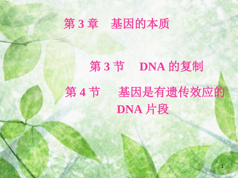 高中生物 第三章 基因的本质 第3节 第4节 基因是有遗传效应的DNA片段优质课件 新人教版必修2_第1页