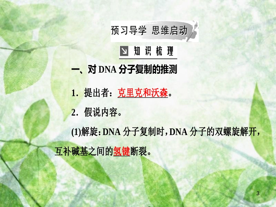 高中生物 第三章 基因的本质 第3节 第4节 基因是有遗传效应的DNA片段优质课件 新人教版必修2_第3页