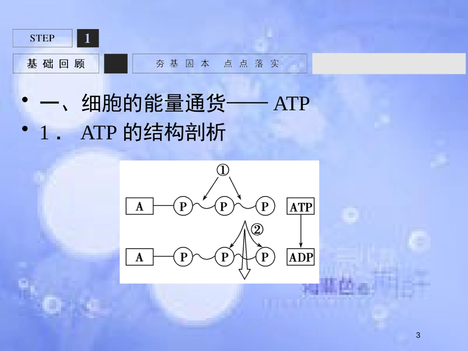 高考生物一轮复习 第3单元 光合作用与细胞呼吸9课件 苏教版必修1_第3页