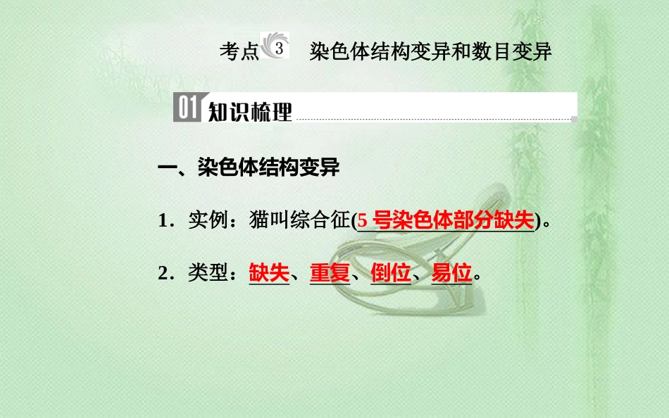 高中生物学业水平复习 专题九 生物的变异 考点3 染色体结构变异和数目变异优质课件_第1页