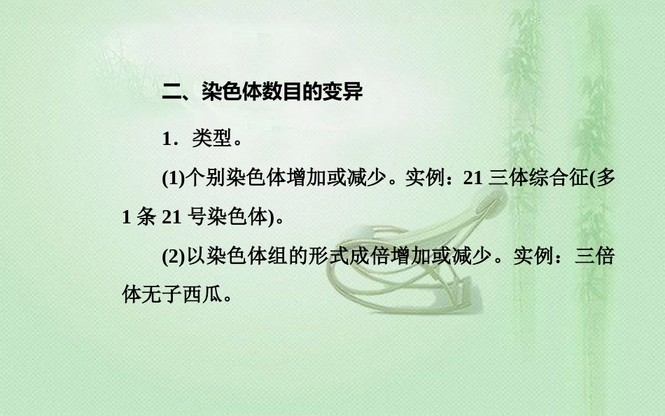 高中生物学业水平复习 专题九 生物的变异 考点3 染色体结构变异和数目变异优质课件_第2页