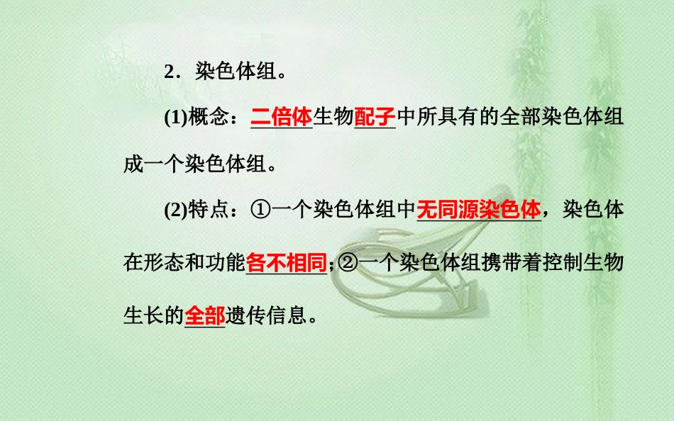 高中生物学业水平复习 专题九 生物的变异 考点3 染色体结构变异和数目变异优质课件_第3页