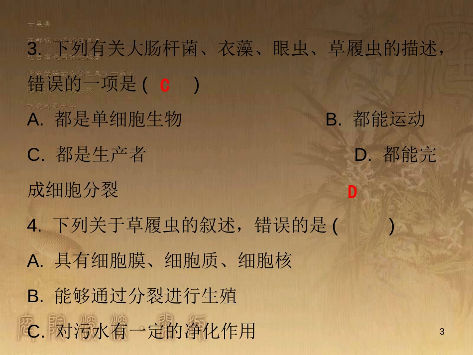 七年级生物上册 第二单元 第二章 第四节 单细胞生物课堂十分钟优质课件 （新版）新人教版_第3页