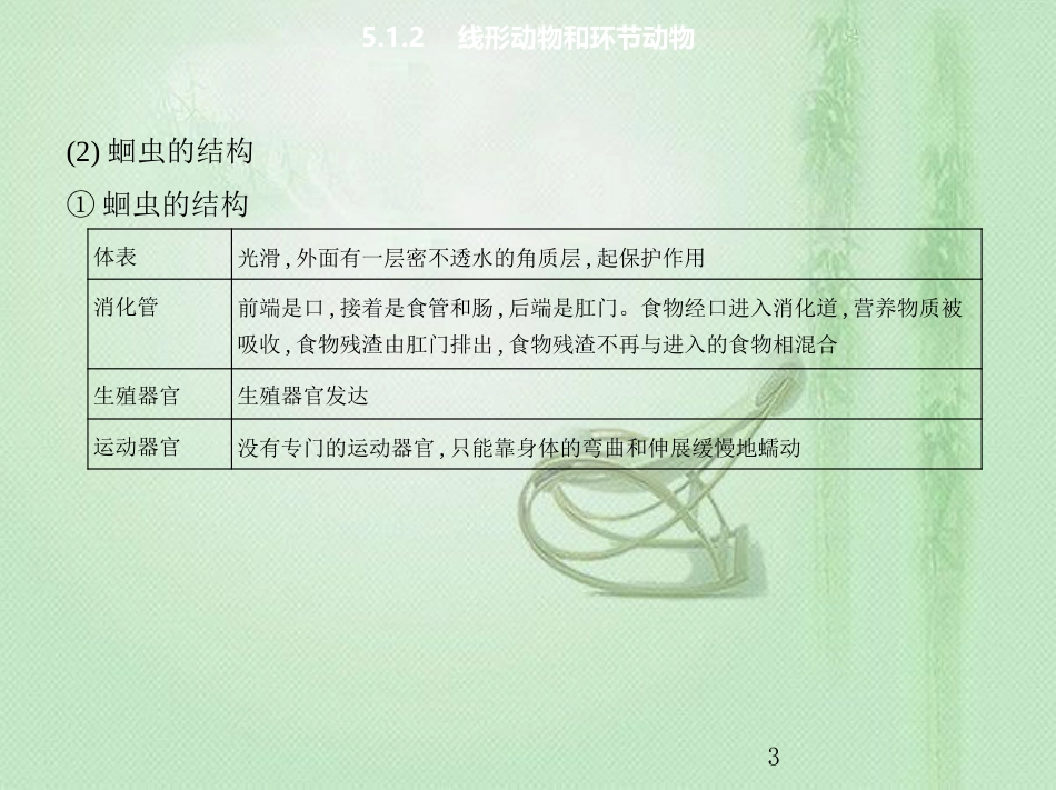 八年级生物上册 5.1.2线形动物和环节动物优质课件 （新版）新人教版_第3页