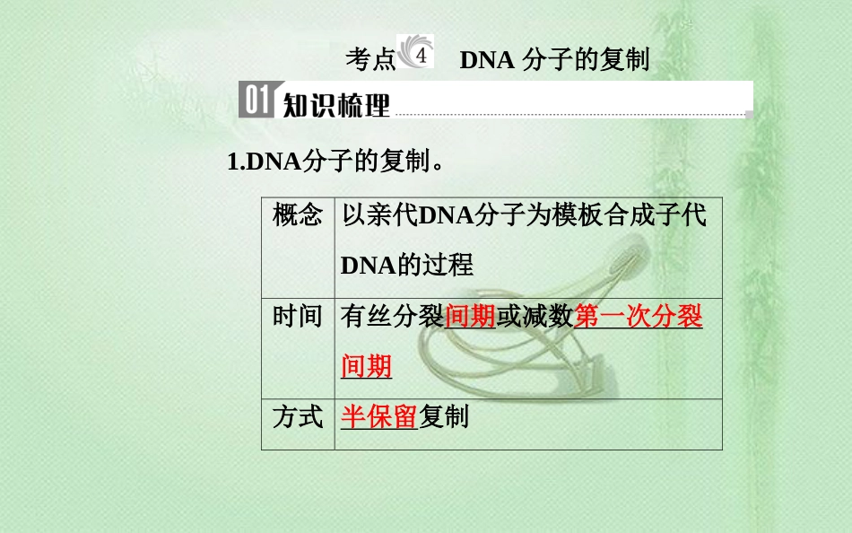 高中生物学业水平复习 专题七 遗传的分子基础 考点4 DNA分子的复制优质课件_第1页