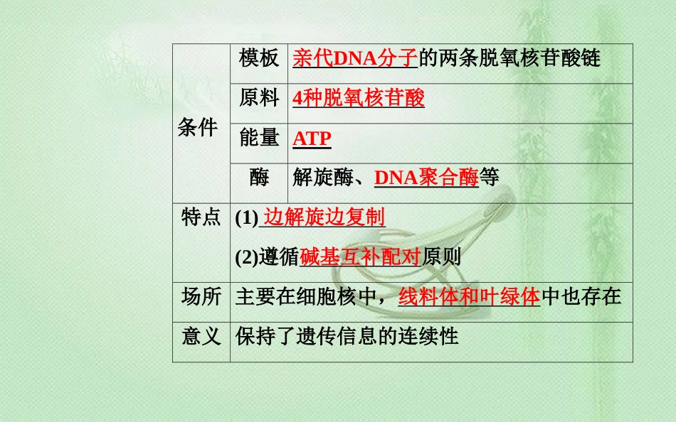高中生物学业水平复习 专题七 遗传的分子基础 考点4 DNA分子的复制优质课件_第2页